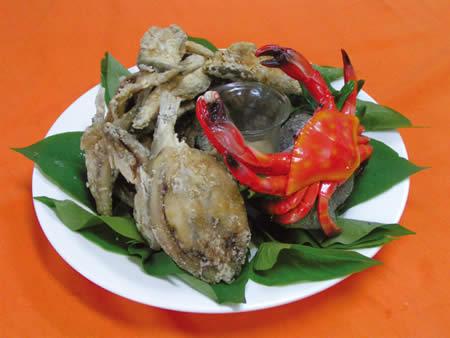 MINOLTA DIGITAL CAMERA