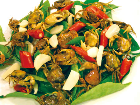 MINOLTA DIGITAL CAMERA