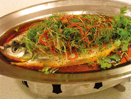 MINOLTA DIGITAL CAMERA